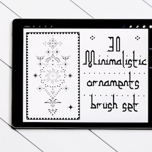 30 minimalist ornaments for Procreate | Lines and Dots | Leaves Minimalist Stamp Brush Pack for Drawing Tattoo Linework