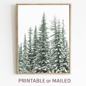 Winter Pine Forest Wall Art Printable or Mailed, Holiday Nordic Modern Print, Nature Landscape Scandi Photo, Snowy Trees Christmas Decor