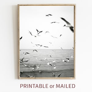 Seagulls Coastal Black White Photo Printable or Mailed, Marine Flying Birds Print, Nautical Ocean Minimalist Wall Art Beach Monochrome Print