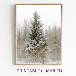 Pine Tree Winter Nordic Wall Art Printable or Mailed, Snowy Forest Modern Scandi Print Nature Landscape Neutral Photo, Christmas Wall Decor