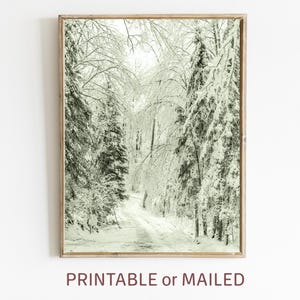 Frozen Forest Nordic Wall Art Printable or Mailed, Winter Scenery Print, Nature Landscape Scandinavian Photo, Snowy Trees Christmas Poster