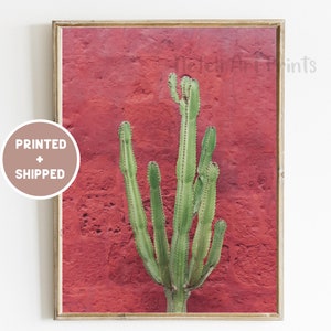 Kaktus auf Roter Wand Mexiko-Druck Verknotete Kakteen-Druck Südwestern Rustikale Wandkunst Wüstenpflanze Foto Mexikanische Wanddekor-Reise großes Plakat