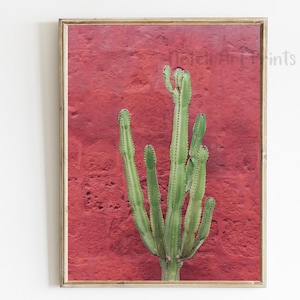 Cactus Mexico Green Red Photo, Printable Cacti Southwest Farmhouse Rustic Print, Desert Plant Wall Art, Mexican Wall Decor Large Poster