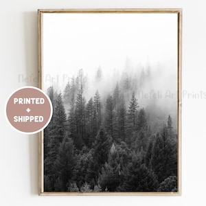 Foggy Wald Schwarz Weiß Poster Gedruckt und ausgeliefert Skandinavischen Wand Kunst Landschaft Pinien Bäume Natur Foto Wald im Nebel Druck