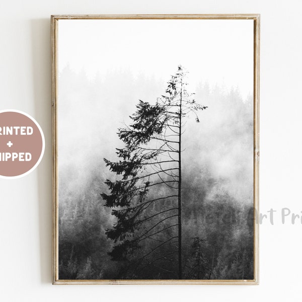 Impression noir et blanc de forêt brumeuse minimaliste envoyée par la poste, photo d'arbre de pin nordique, décor mural scandinave de forêt brumeuse, impression de nature de paysage