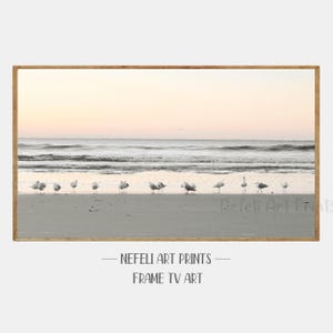 Puede incluir: Una fotografía en blanco y negro de una escena de playa con una línea de gaviotas de pie en la arena. El cielo es de un rosa suave y el agua es de un azul claro. El texto "NEFELLI ART PRINTS - FRAME TV ART" está en la parte inferior de la imagen.