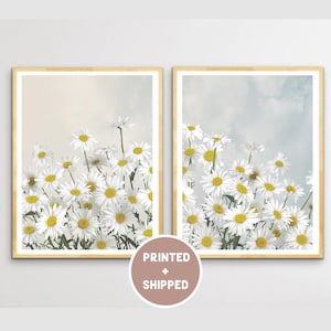 White Daisies Under Cloudy Sky Set of 2 Photo Mailed Wall Art Daisy Flowers Pastel Print Wild Flowers Diptych Print Country Wall Decor
