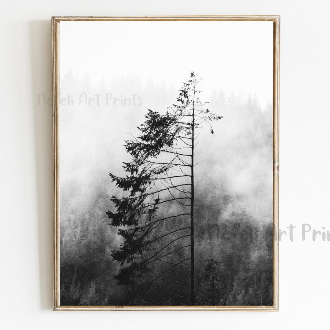 Minimalist Foggy Forest Black and White Printable Wall Art, Nordic Pine ...