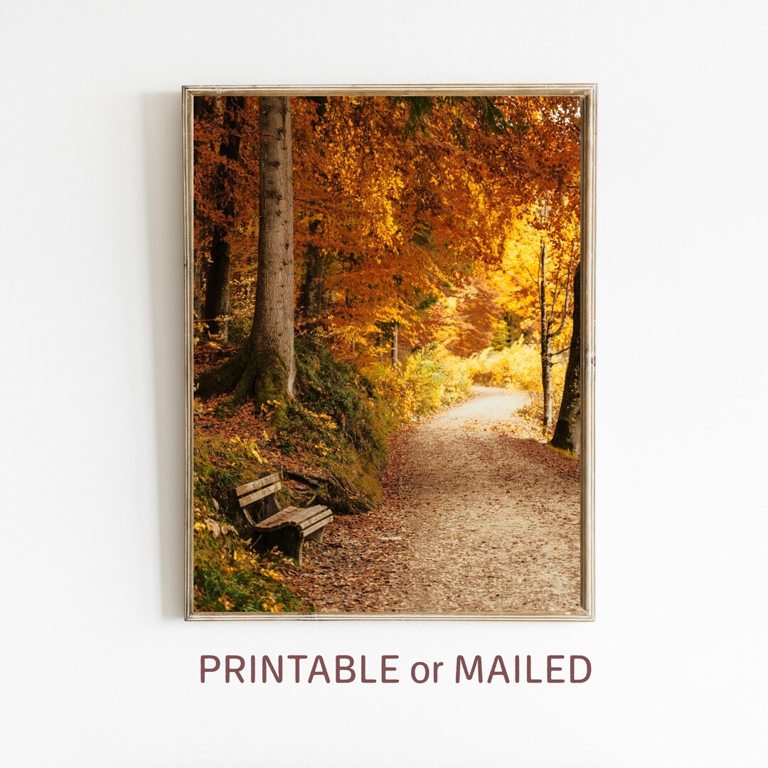 Pathway in Fall Forest Vibrant Wall Art Printable or Mailed Autumn ...