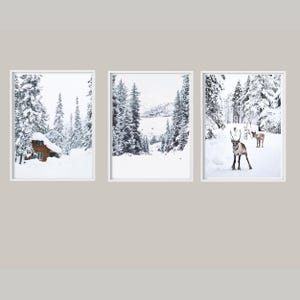 Winter Wonderland Set of 3 Printable Wall Art, Snowy Forest Cabin and Deer Photo, Christmas Gallery Wall Art, Winter Nature Nordic Print