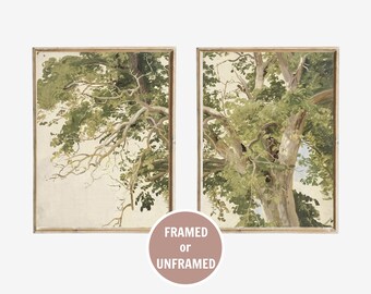 May include: Two rectangular wall art prints featuring detailed paintings of tree branches with green leaves and textured bark against a light background. The artwork is presented in thin wooden frames, with a circular overlay text reading FRAMED or UNFRAMED.