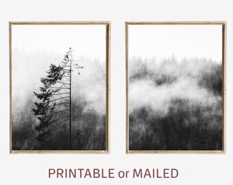 Foggy Forest Black and White Set of 2 Photo Printable or Mailed, Misty Pine Tree Forest Print, Nature Landscape Nordic Diptych Wall Art