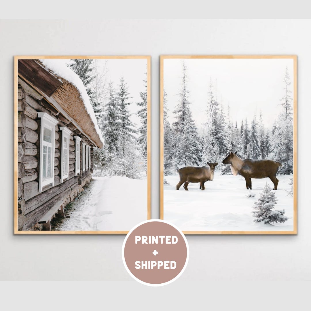 Winter Wonderland Set of 2 Mailed Photo, Cabin in Snowy Forest and Deer ...