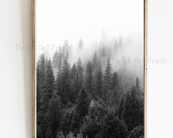 Foggy Forest Black White Print Misty Forest Scandinavian Printable Wall Art Pine Trees Nature Nordic Photo Landscape Minimalist Wall Decor