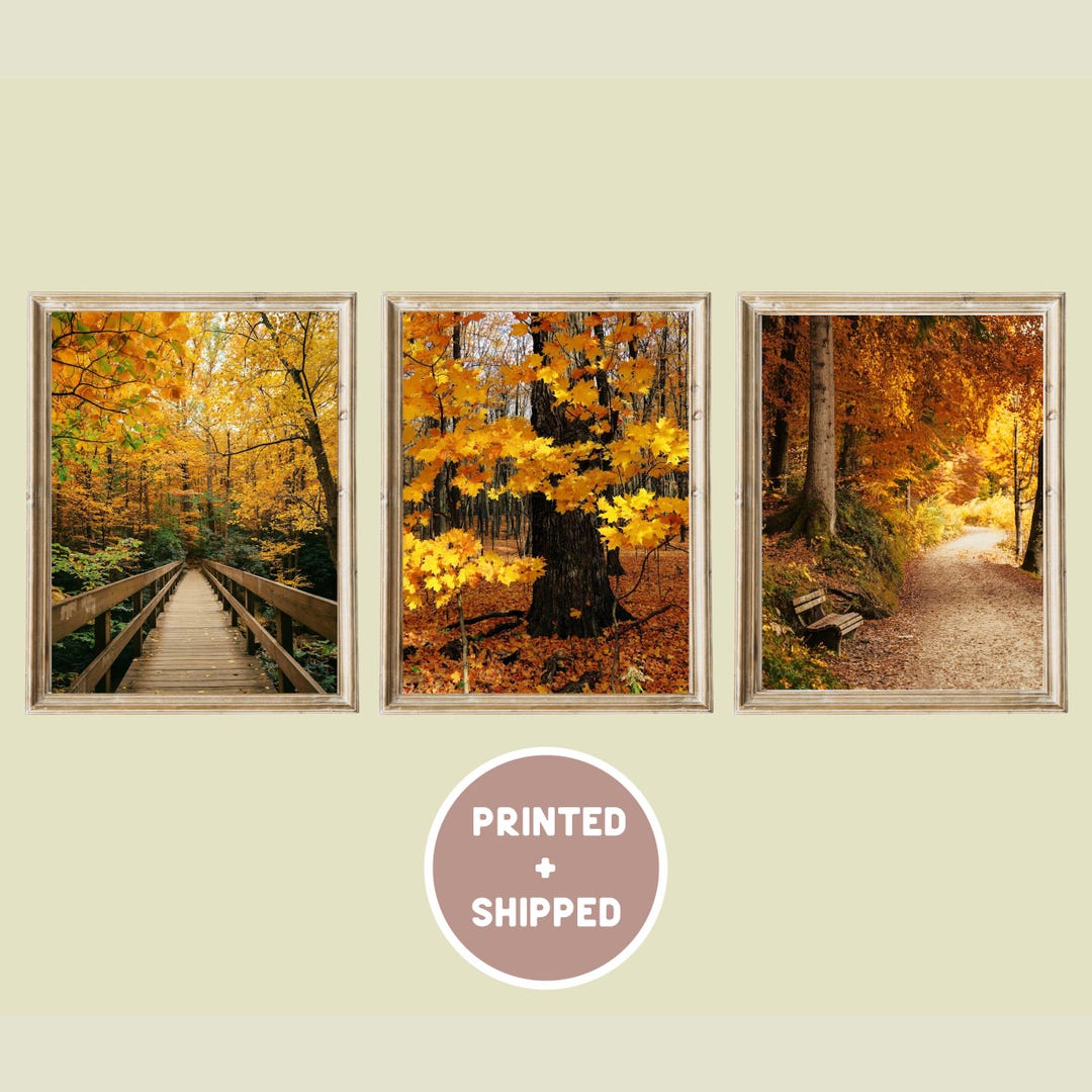 Fall Forest Vibrant Print Set of 3 Mailed Wall Art, Autumn Landscape ...