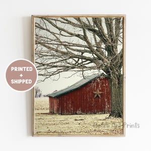 Puede incluir: Un granero rojo con una puerta de madera desgastada y una estrella oxidada en el lateral, ubicado bajo un árbol sin hojas en un campo.