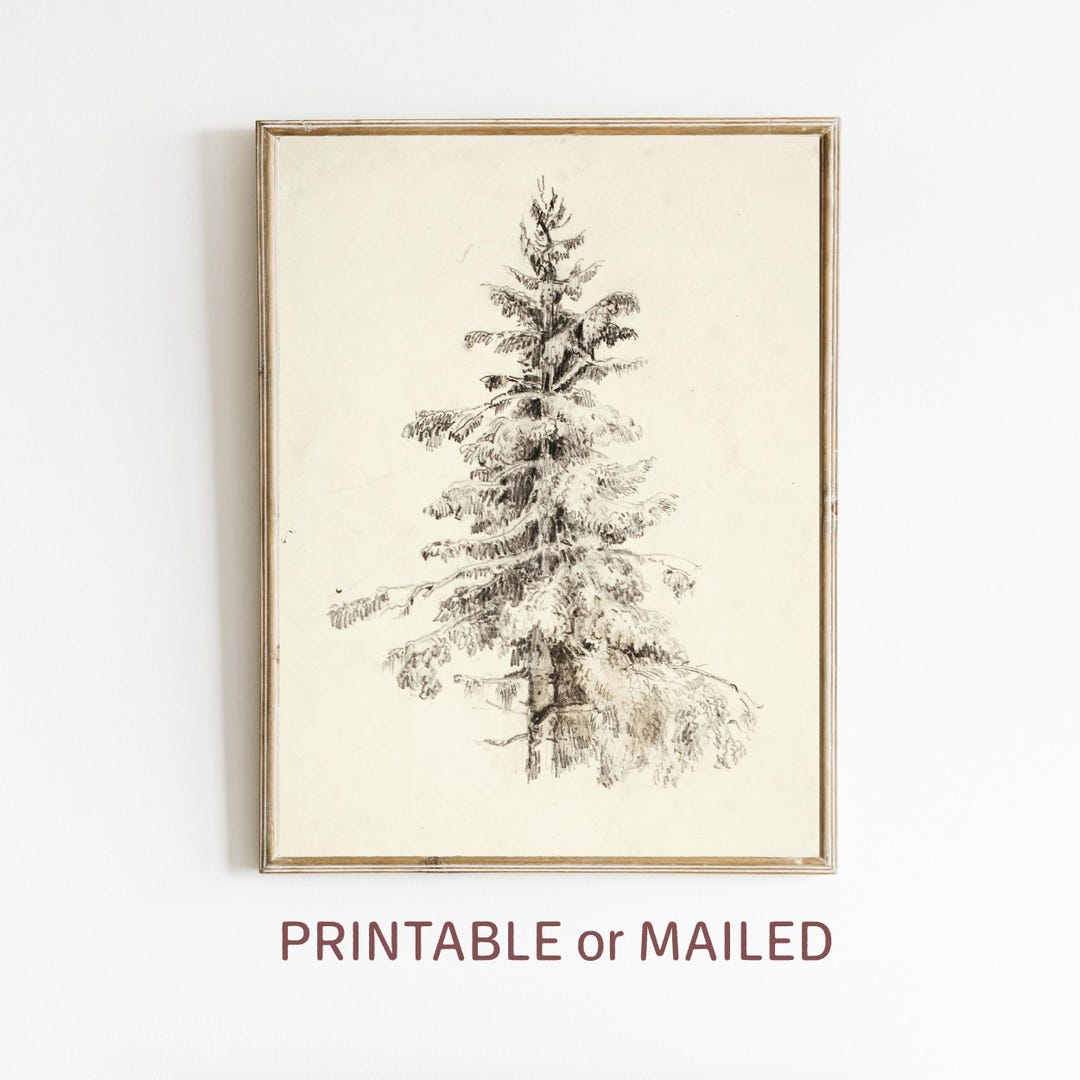 Snowy Pine Tree Vintage Sketch, Winter Minimalist Neutral Wall Art ...