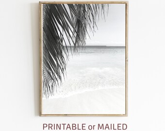 Palm Leaf Beach Black & White Beach Photo Printable or Mailed Tropical Tree Nordic Print Palm Tree Coastal Ocean Print California Surf Decor