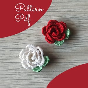 Padrão de rosas 3D em PDF (Inglês-Italiano)