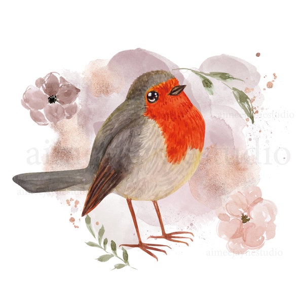 Robin graphic, sublimation design, Robin red breast graphic, watercolor graphic, instant download, Digital download, Clipart design