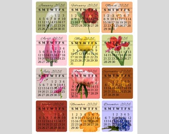 Floral monthly calendar stickers 2027, Small months of the year stickers, Flower calendar date stickers, Boho planner date stickers