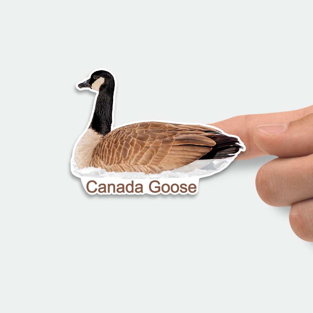 Canada Goose Stickers, Custom Vinyl Name Sticker for Phone ...