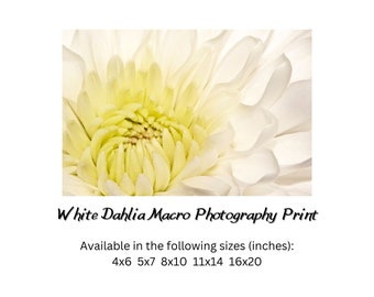 White dahlia print wall art neutral, white flower macro photography print wall decor, bright floral fine art nature photograph
