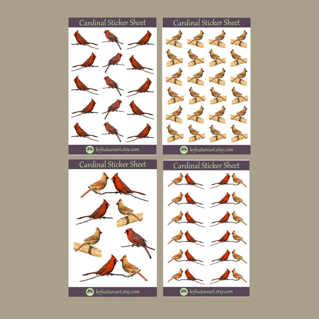 Cardinal Sticker Sheet Bundle, Bird Species Stickers, Songbird Sticker ...
