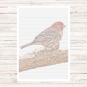 House Finch Bird Stationery Set, Nature Themed Printable Notebook Paper ...