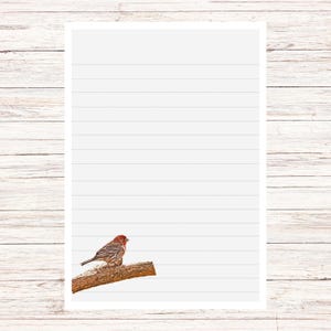 House Finch Bird Stationery Set, Nature Themed Printable Notebook Paper ...