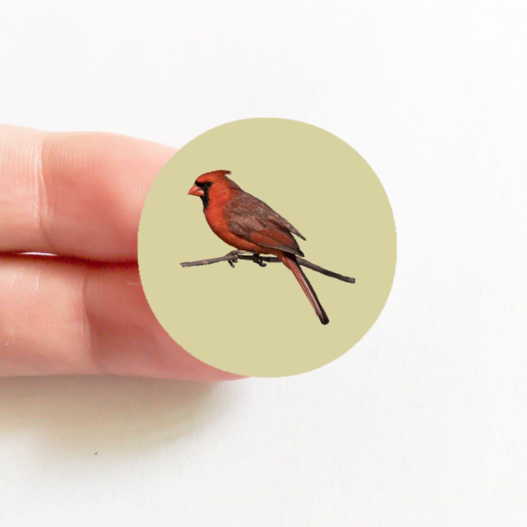 Red Cardinal Stickers Sheet, Bird Laptop Stickers Pack, 1 Inch Envelope ...