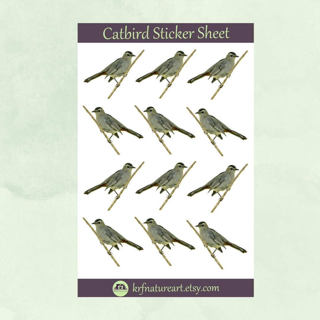 Gray Catbird Sticker Sheet Birds, Songbird Planner Stickers Decorative ...