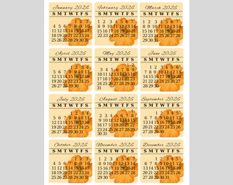 Orange cosmos sticker sheet, Monthly calendar stickers 2027, Months of the year stickers, Planner date stickers, Monthly planner stickers