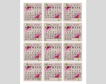 Stargazer lily calendar date stickers 2027, Monthly planner stickers, Pink flower planner date stickers, Months of the year stickers