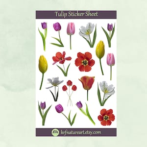 May include: A sticker sheet featuring various tulip illustrations in shades of purple, pink, red, yellow, and white. The sheet includes the text "Tulip Sticker Sheet" at the top and the Etsy shop name "krfnatureart.etsy.com" at the bottom.