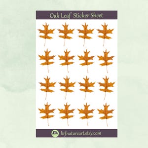 May include: A sticker sheet featuring sixteen detailed oak leaf stickers in shades of orange and brown. The stickers are arranged in four rows of four on a white background. The text "Oak Leaf Sticker Sheet" is at the top.