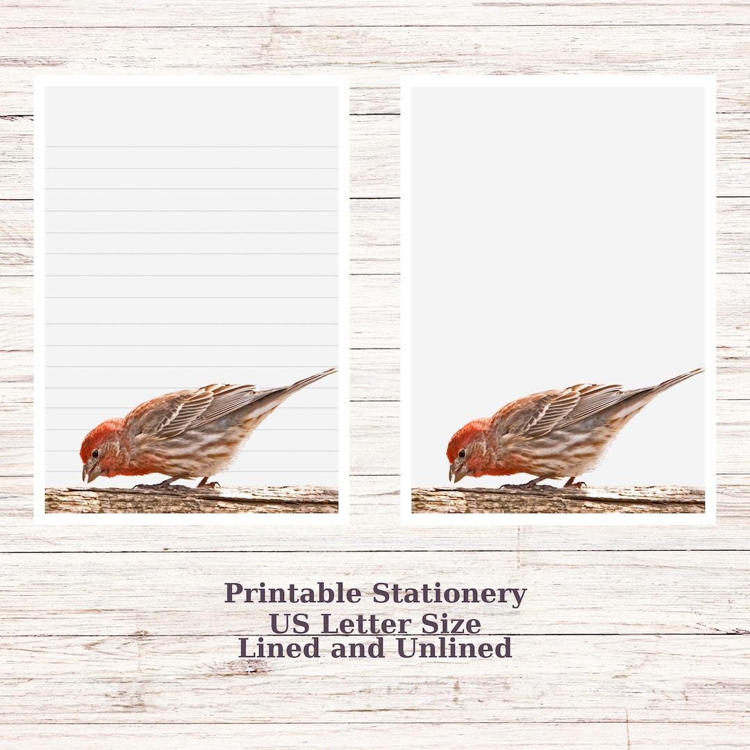 Finch Printable Notebook Papers, Bird Stationery Digital Paper Nature ...
