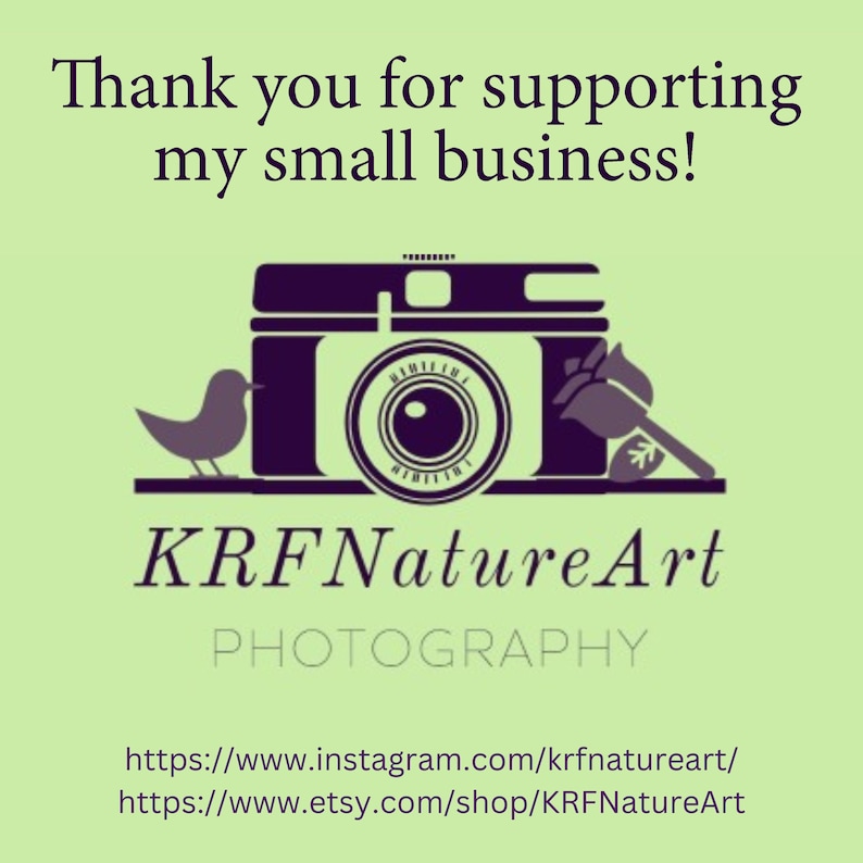 Black and White Daffodil Flower Vinyl Mailing Labels, Envelope