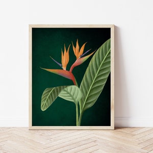 Arte de pared tropical verde esmeralda, arte floral de ave del paraíso imprimible, impresión de arte maximalista, impresión botánica, descarga digital