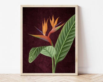 Bird of Paradise Printable Wall Art, Tropical Flower Print, Maximalist Wall Decor, Nature Art Print, Beach House Decor, Digital Download