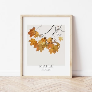 Ahornblätter Druck, druckbare Herbstdekor, botanische Wandkunst, Laub Art Print, sofortiger digitaler Download
