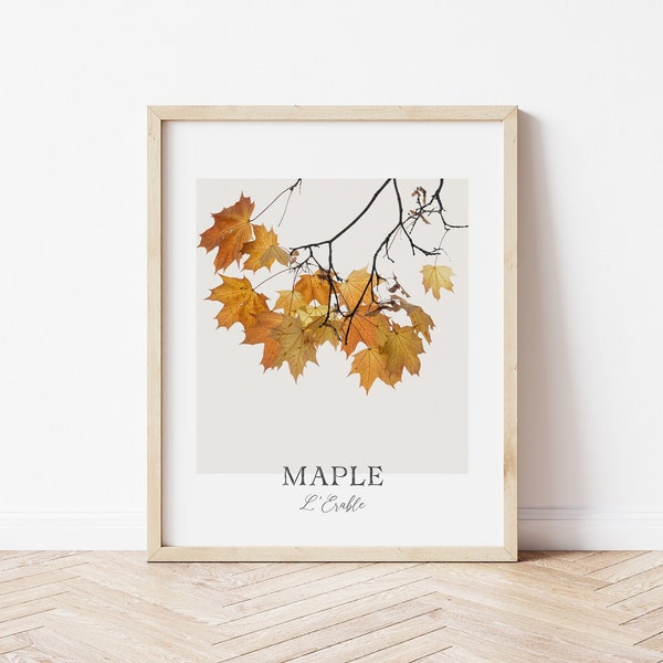 Maple Leaves Print, Printable Fall Decor, Botanical Wall Art, Foliage Art Print, Instant Digital Download