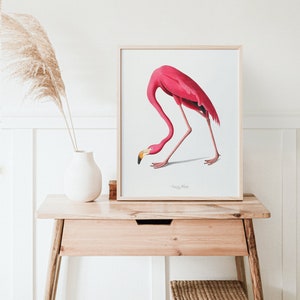 Vintage Flamingo Print, Audubon American Flamingo Printable Wall Art, Beach House Wall Decor, Audubon Birds Prints DIGITAL DOWNLOAD image 2
