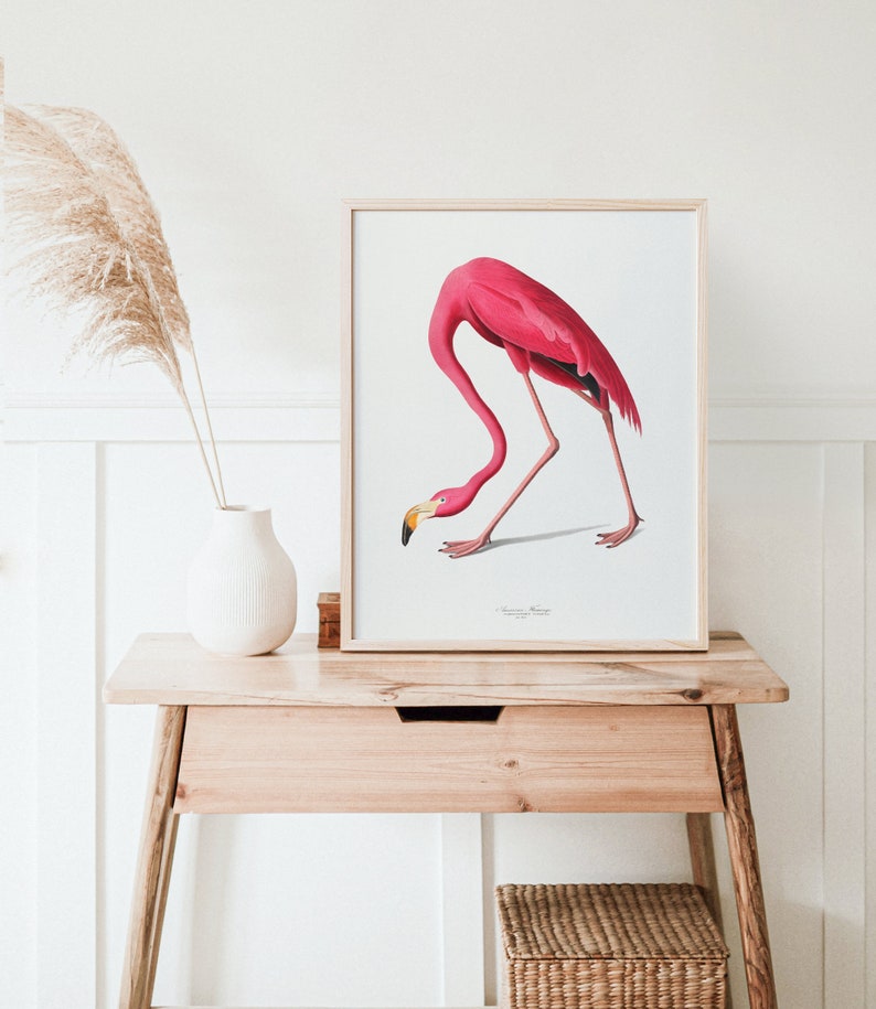 Vintage Flamingo Print, Audubon American Flamingo Printable Wall Art, Beach House Wall Decor, Audubon Birds Prints DIGITAL DOWNLOAD image 2