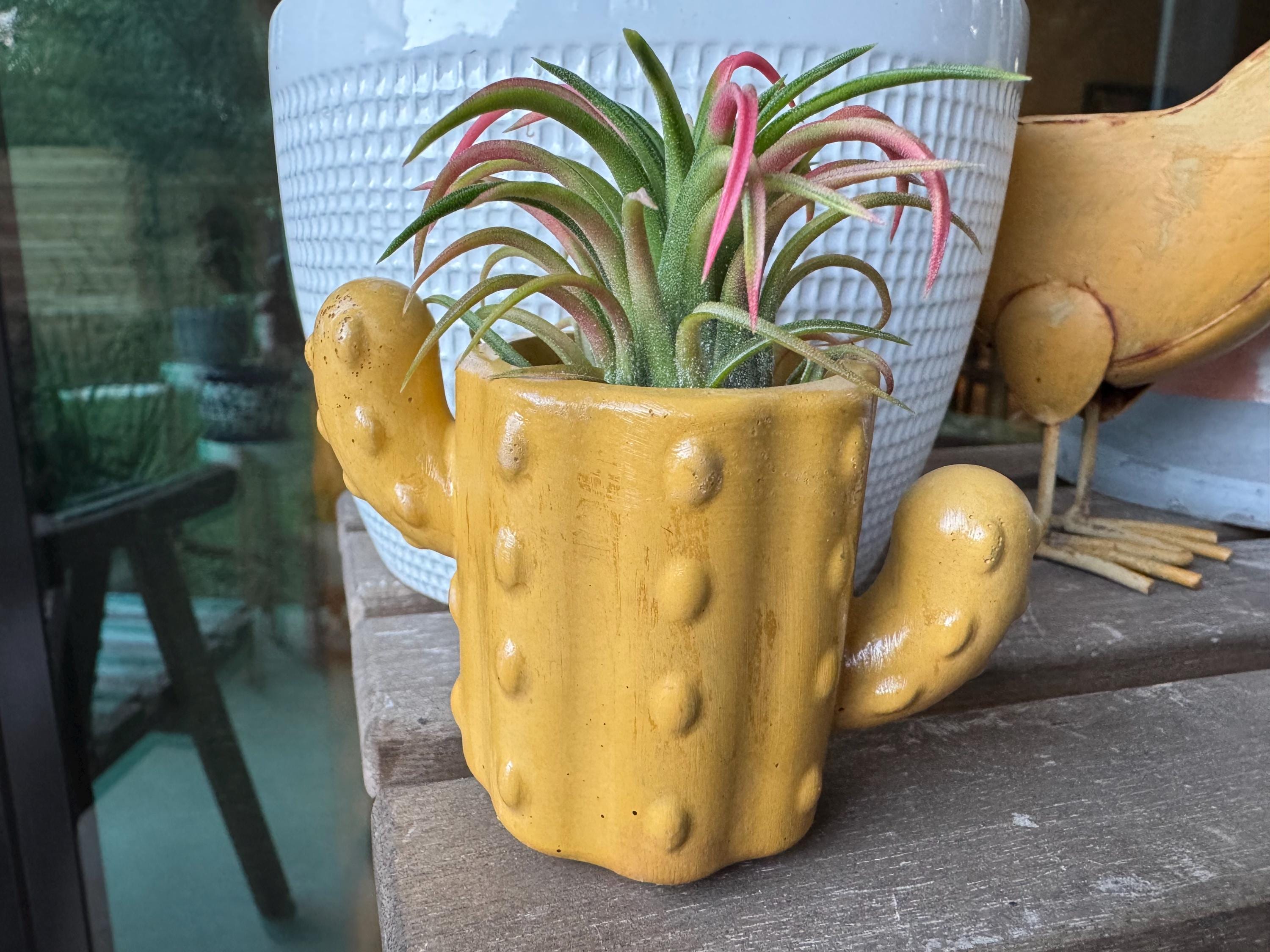 Concrete cactus - Etsy.de