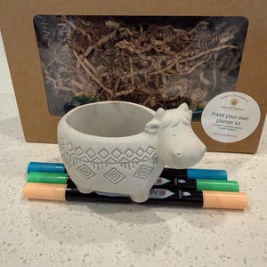 May include: A white hippo-shaped planter with geometric patterns, part of a paint-your-own kit. The kit includes a cardboard box with shredded paper, three markers in teal, green, and peach, and a round sticker with text.