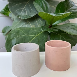 May include: Two small, cylindrical concrete planters. One is light grey, the other is a soft pink. The planters are set against a backdrop of large, green leaves. These planters are suitable for small plants or succulents.