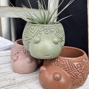 Puede incluir: Una colección de pequeñas macetas decorativas en tonos verdes, rosas y marrones. Cada maceta tiene una cara sonriente y un patrón geométrico. Una maceta contiene una pequeña planta aérea con hojas largas y delgadas.