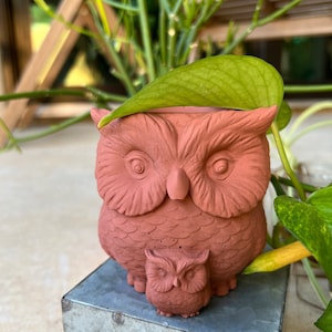 May include: A terracotta-colored owl planter with a smaller owl figure attached. The owl planter has large eyes and a leaf resting on top. The planter is sitting on a metal surface, with greenery in the background.