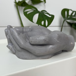 Puede incluir: Una maceta de hormigón gris con forma de manos ahuecadas. La maceta está sobre una estantería blanca, con plantas verdes en el fondo. La maceta está diseñada para contener pequeñas plantas o suculentas.